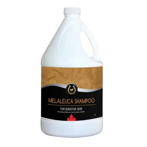 Melaleuca Shampoo 4L - Golden Horseshoe SALE reg $26.00