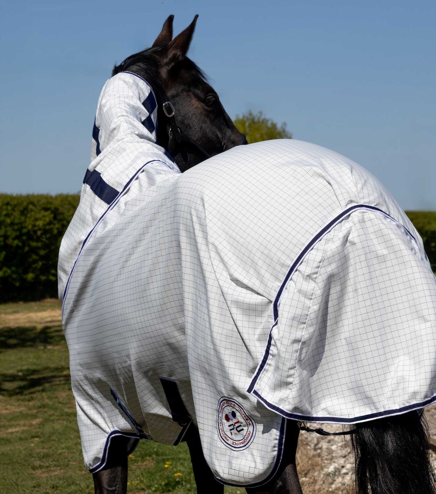 Premier Equine UK Cotone Stable Sheet with Neck Cover White/Navy Check - 6β3β/75β