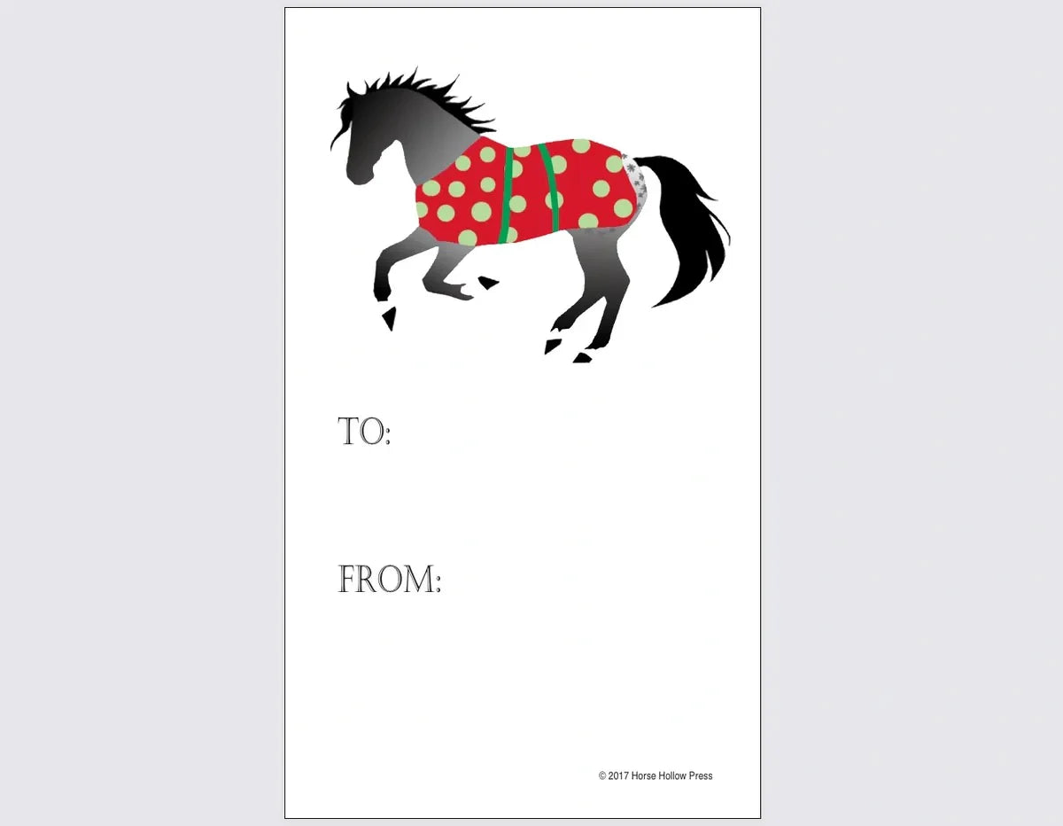 Christmas Gift Tags Pkg of 12
