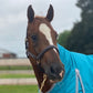 NEW - Sage Family Fancy Stitched Halter with Padding - XL