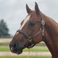 NEW - Sage Family Fancy Stitched Halter with Padding - XL