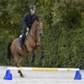 Waldhausen Cavaletti Block - Blue (sold individually)