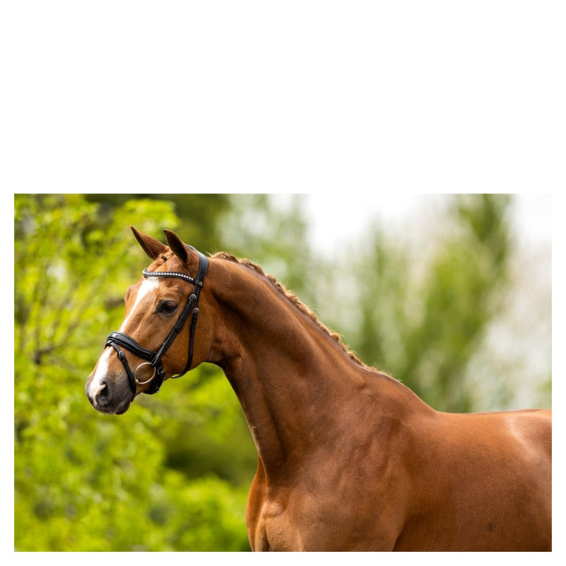 BR Bolton Bridle with crank flash - Black/Silver - Full