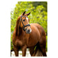 BR Bolton Bridle with crank flash - Black/Silver - Full
