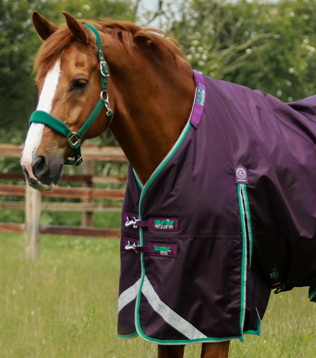 Premier Equine UK Buster 200g Turnout Rug with Snug-Fit Neck Cover - Purple (72” or 75” or 78” or 81”)