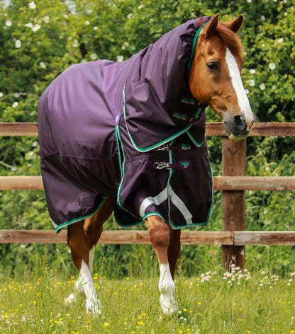 Premier Equine UK Buster 200g Turnout Rug with Snug-Fit Neck Cover - Purple (72” or 75” or 78” or 81”)