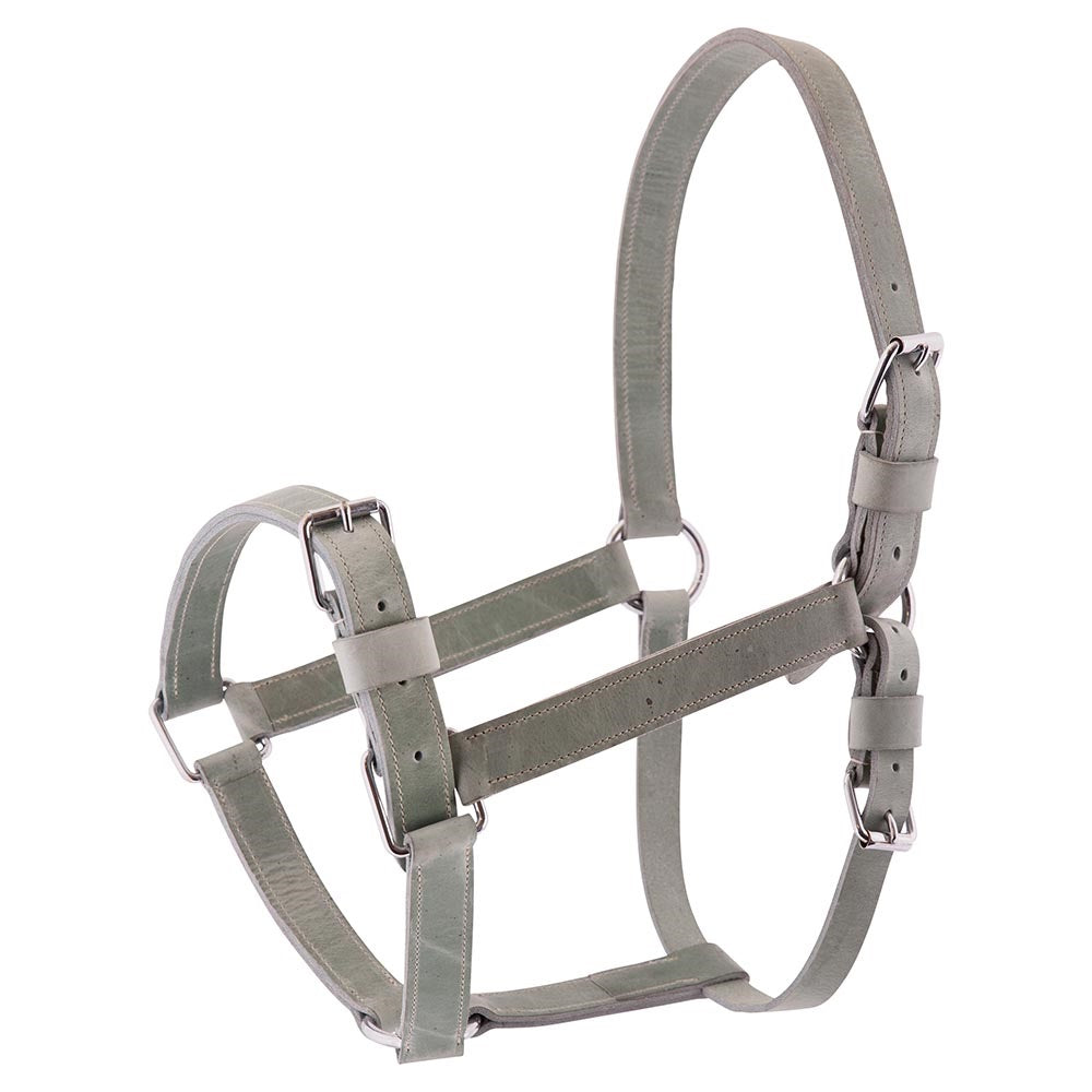 *BR Clearance - BR Premiere Chrome Leather Halter - Black - Foal