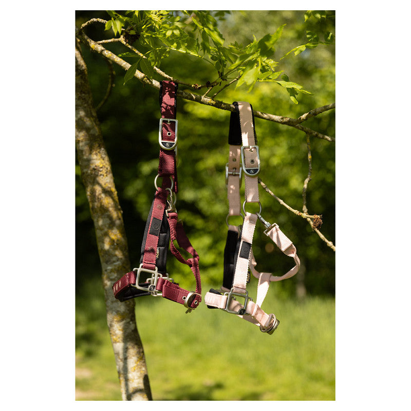 BR Eevolv Halter Karin - Neoprene - New Maroon - Cob - Limited Edition