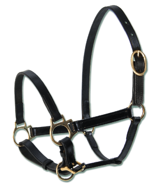 WALDHAUSEN STAR LEATHER FOAL HALTER