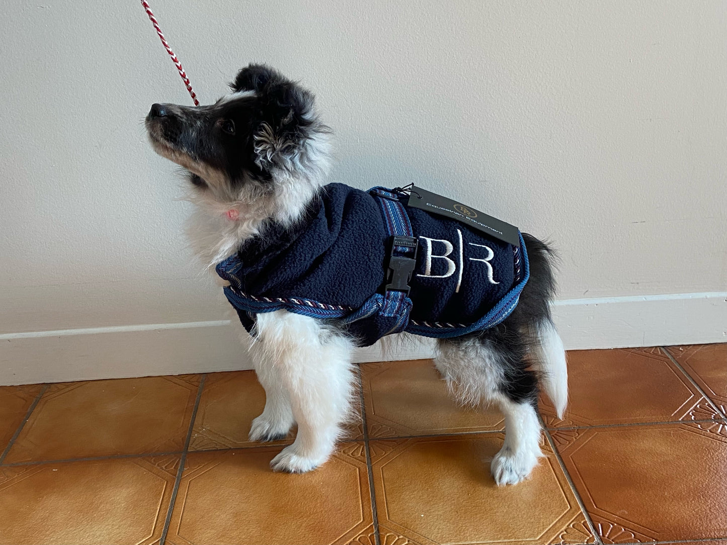 BR Clearance - BR Dog Rug Fleece Total Eclipse 40cm  REG$50.00