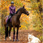 BR Ladies Jacket Barbara - Blackberry Wine - (Medium/XXL)