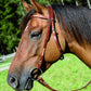Waldhausen Virginia Western Headstall - Brown
