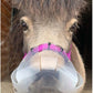 ThinLine Flexible Filly Grazing Muzzle
