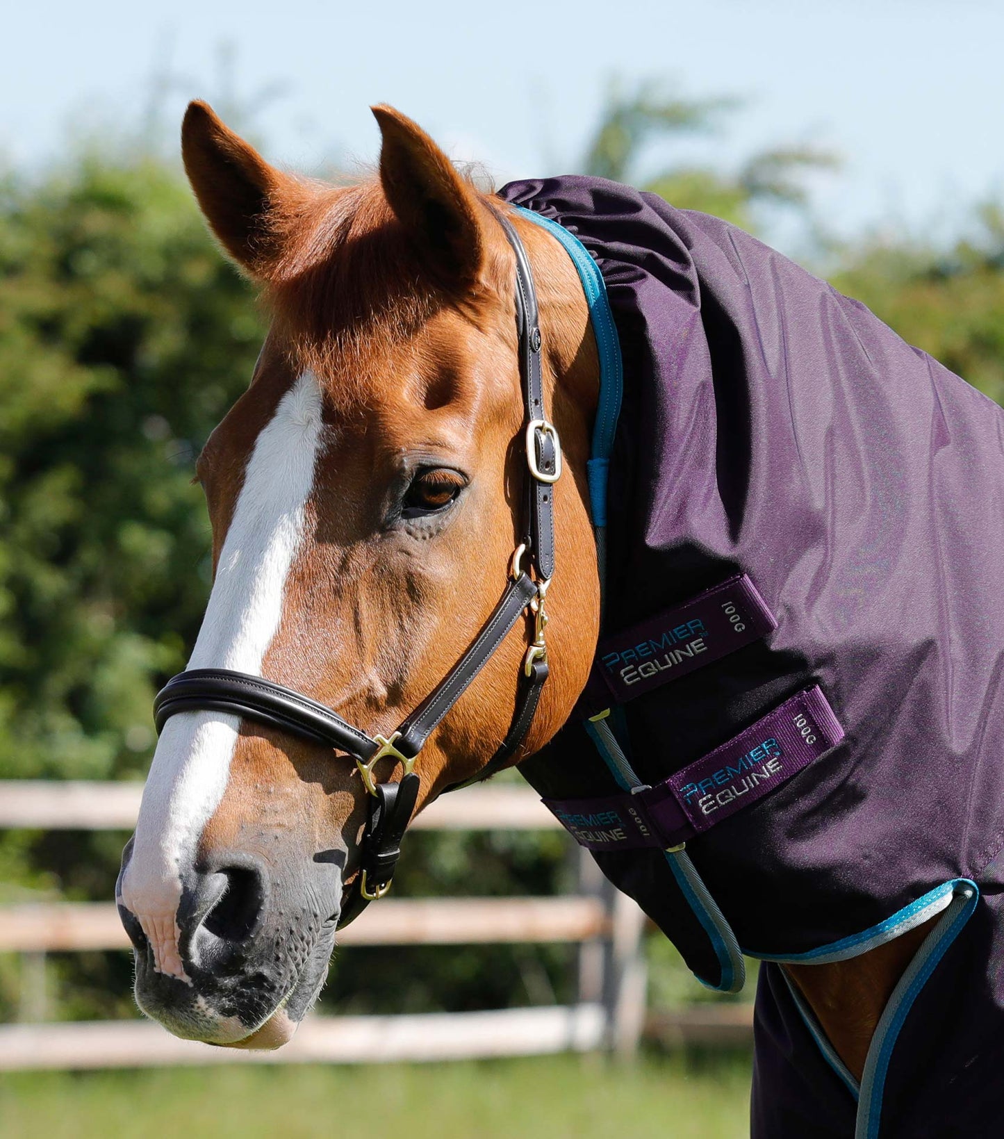 Premier Equine UK Buster Storm 100g Combo Turnout Rug with Snug-Fit Neck - Purple 6'9"/81"