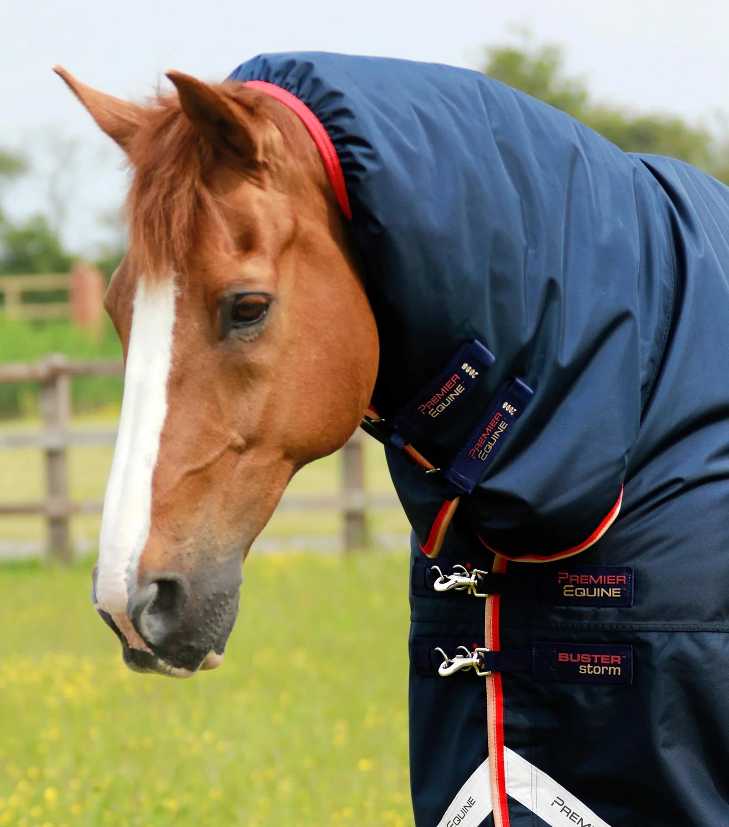 Premier Equine UK Buster Storm 200g Combo Turnout Rug with Snug-Fit Neck - Navy (78" or 81")