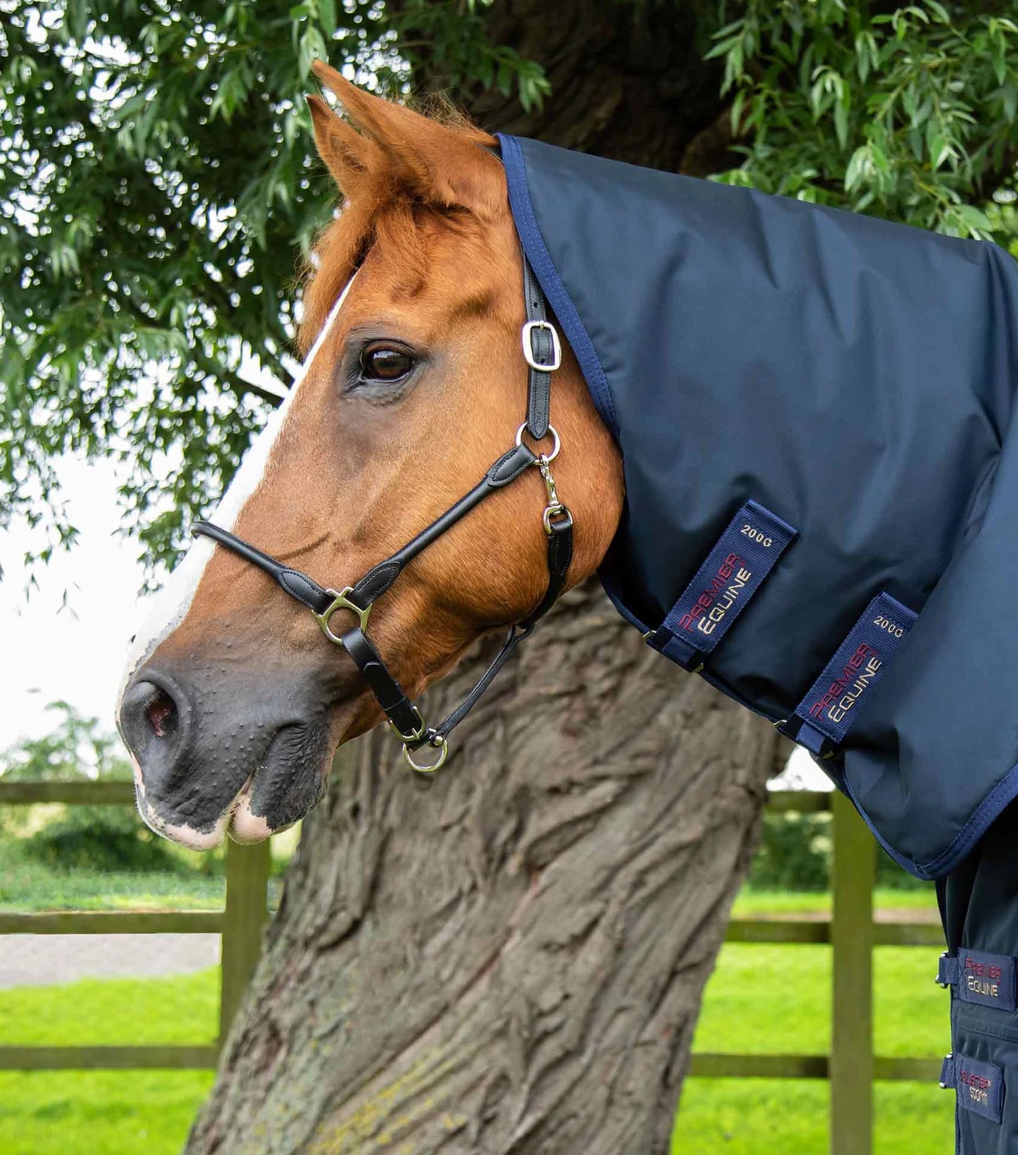 Premier Equine UK Buster Storm 220g Combo Turnout Rug with Classic Neck - Navy (75"/78"/81")