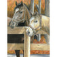 Pencil by Number - Buck's Pal (9"x12") - CLEARANCE