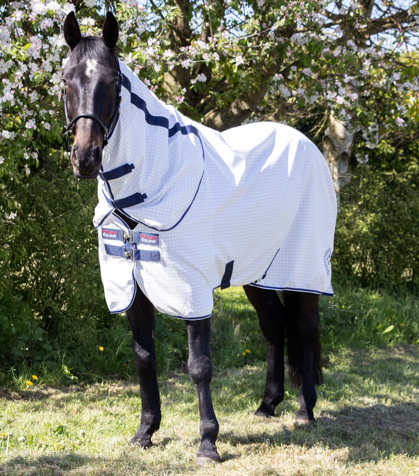 Premier Equine UK Cotone Stable Sheet with Neck Cover White/Navy Check - 6’3”/75”