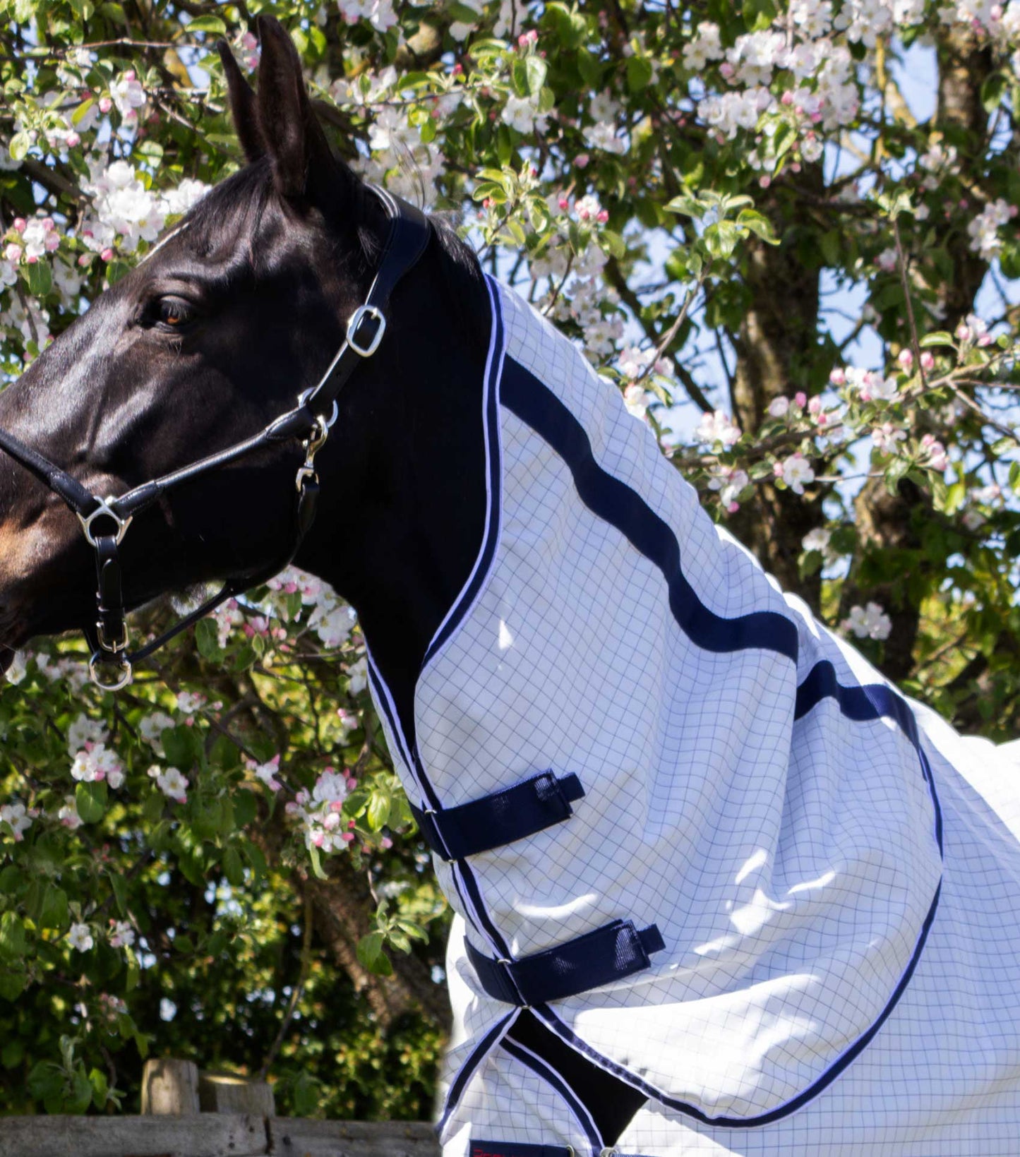 Premier Equine UK Cotone Stable Sheet with Neck Cover White/Navy Check - 6’3”/75”