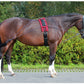 BR Premiere Pessoa Lunging Aid - Black/Bordeaux