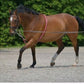 Waldhausen Cotton Lunging Aid - RED - PONY or WB Sale!!