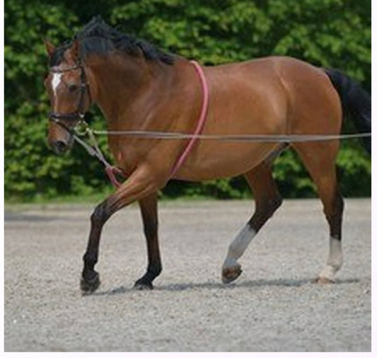 Waldhausen Cotton Lunging Aid - RED - PONY or WB Sale!!