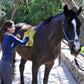 ECP - Equine Comfort Products - MICROFIBER WIPE DOWN CLOTH 16" X 28"
