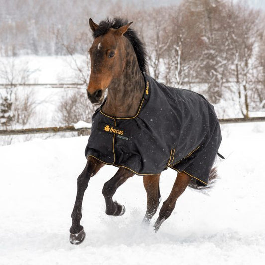 Bucas Irish Turnout 300gr Black & Gold - 78"/81"