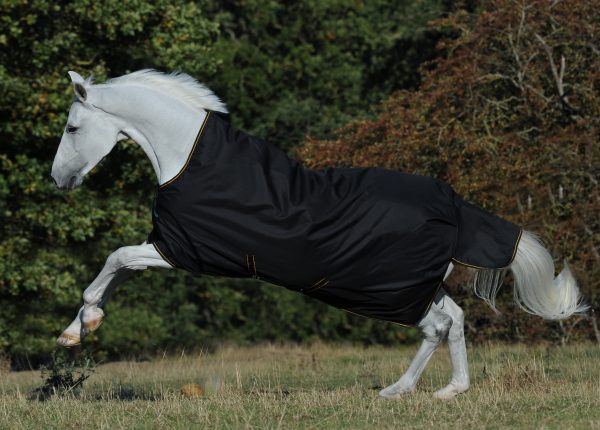 Bucas Irish Turnout 300gr Black & Gold - 78"/81"