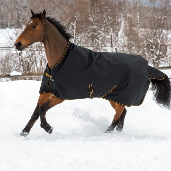 Bucas Irish Turnout 50gr Black & Gold - 75”/78”/81”