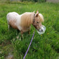 ThinLine Flexible Filly Grazing Muzzle