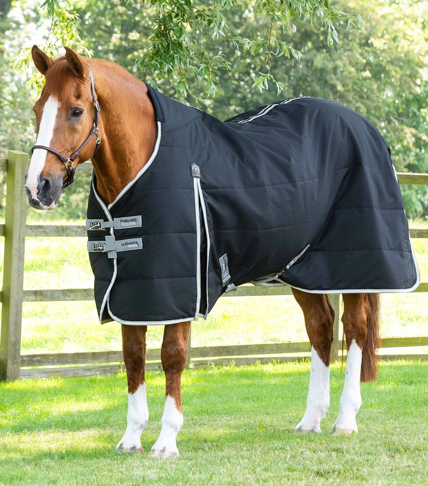 Premier Equine UK Lucanta Demi Stable 100g - Black 6’6”/78”