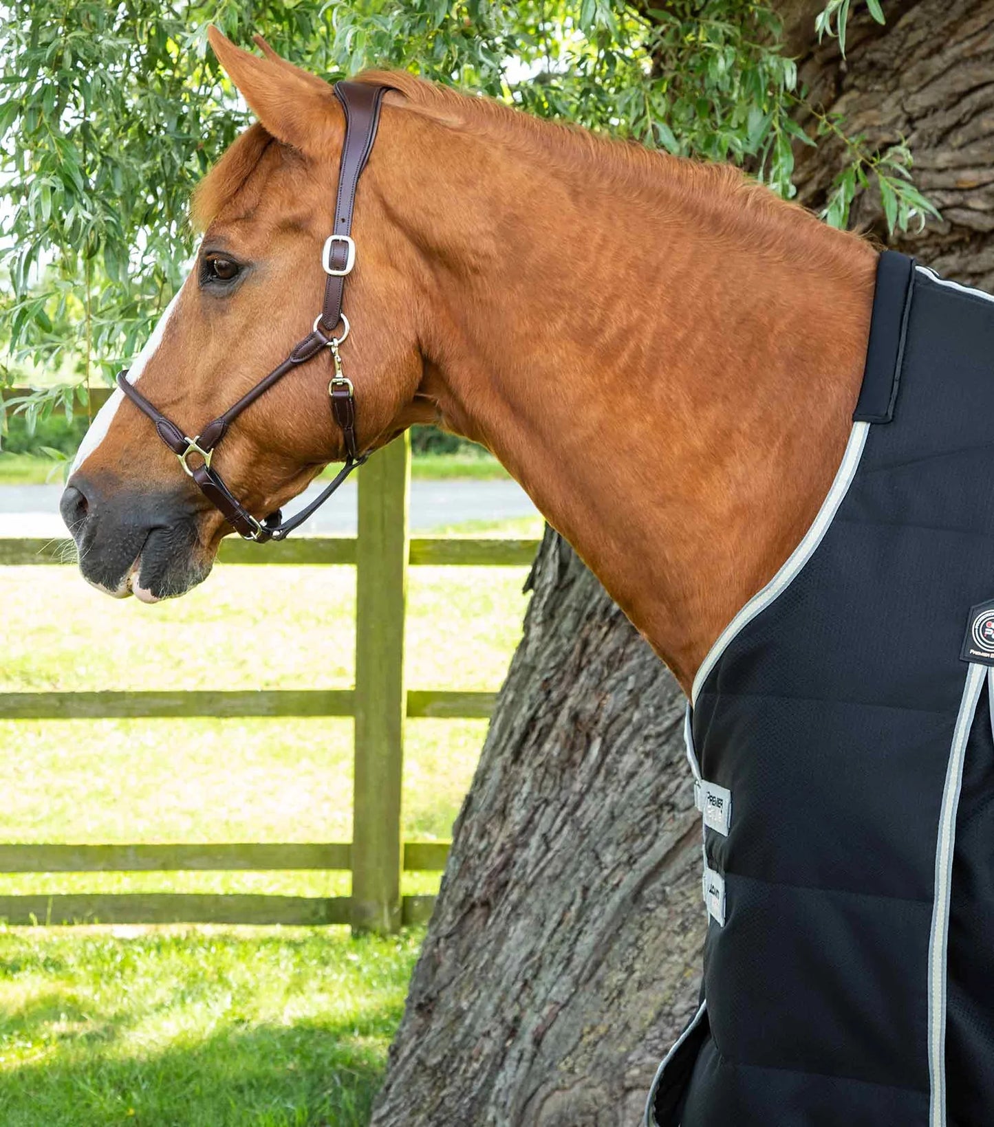 Premier Equine UK Lucanta Demi Stable 100g - Black 6’6”/78”