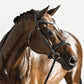 Lumiere Milan Leather Bridle - Convertible - Havana Brown/Cob