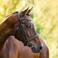 Lumiere Milan Leather Bridle - Convertible - Havana Brown/Cob