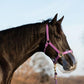 ThinLine Flexible Filly Grazing Muzzle
