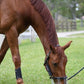 ThinLine Flexible Filly Grazing Muzzle
