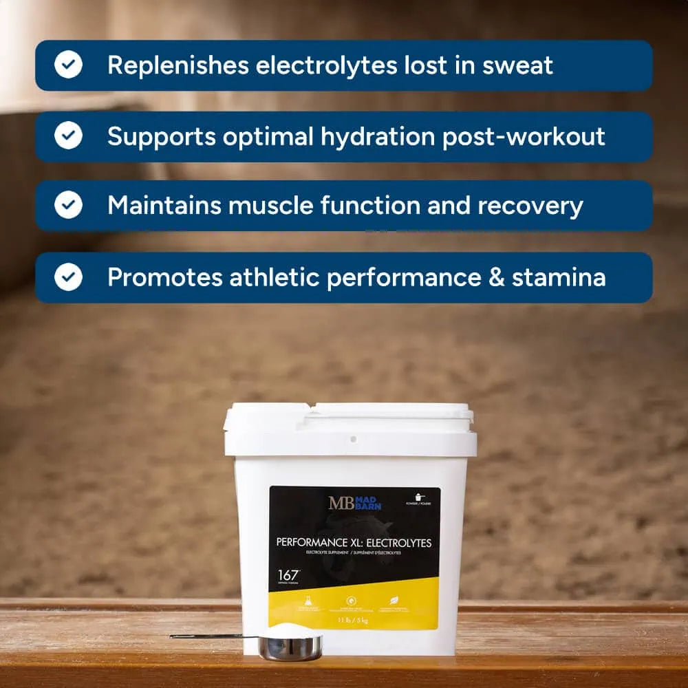 Mad Barn Performance XL: Electrolytes -5kg (166 servings)