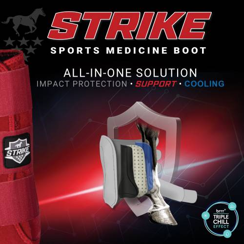 Professional's Choice Strike Sports Medicine Boot Front Large or Medium Black
