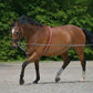 WALDHAUSEN LUNGING AID - PONY