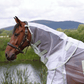 Shires Highlander Fine Mesh Fly Sheet/Neck Set - White/ Sage - 78"