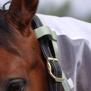 Shires Highlander Fine Mesh Fly Sheet/Neck Set - White/ Sage - 78"