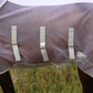 Shires Highlander Fine Mesh Fly Sheet/Neck Set - White/ Sage - 78"