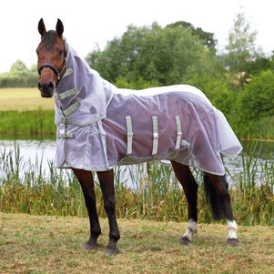 Shires Highlander Fine Mesh Fly Sheet/Neck Set - White/ Sage - 78"
