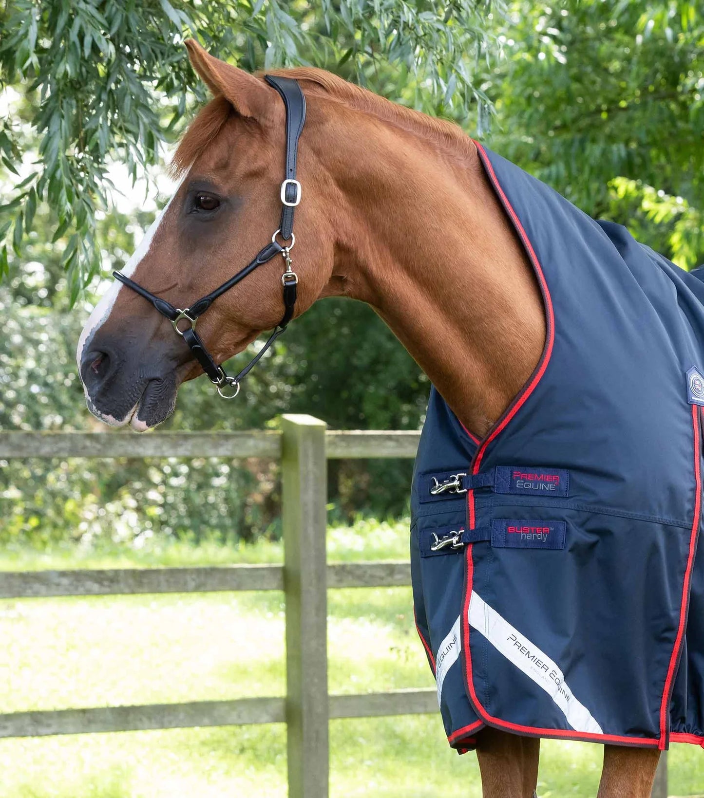 Premier Equine UK Buster Hardy 200g Half Neck Turnout Rug Navy 7’0”/84”