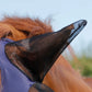Premier Equine UK Comfort Tech Lycra Fly Mask Navy Medium