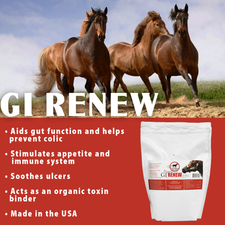 Pennwoods GI Renew - 2.27kg