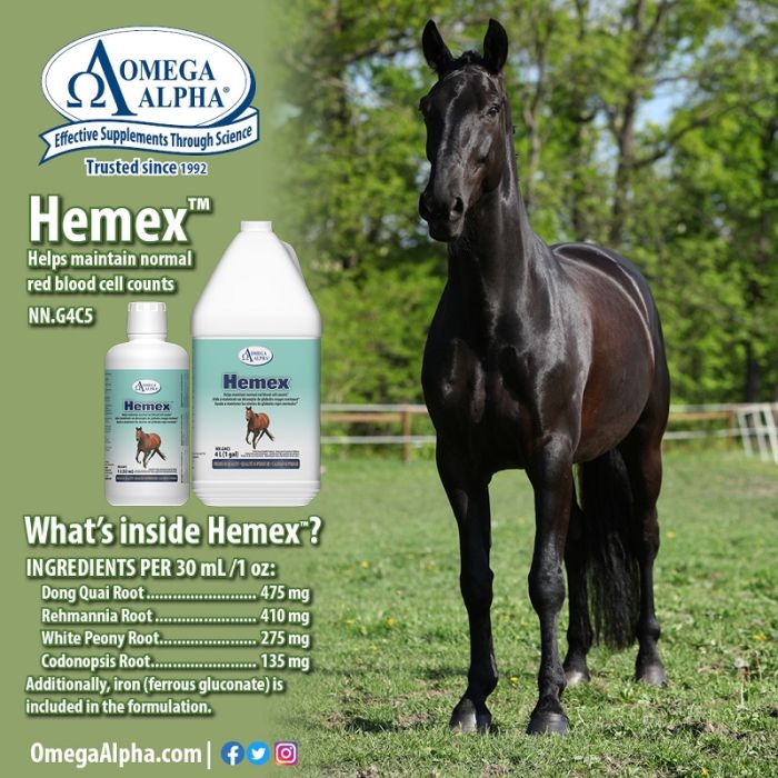 Omega Alpha Healthy Horse 4L