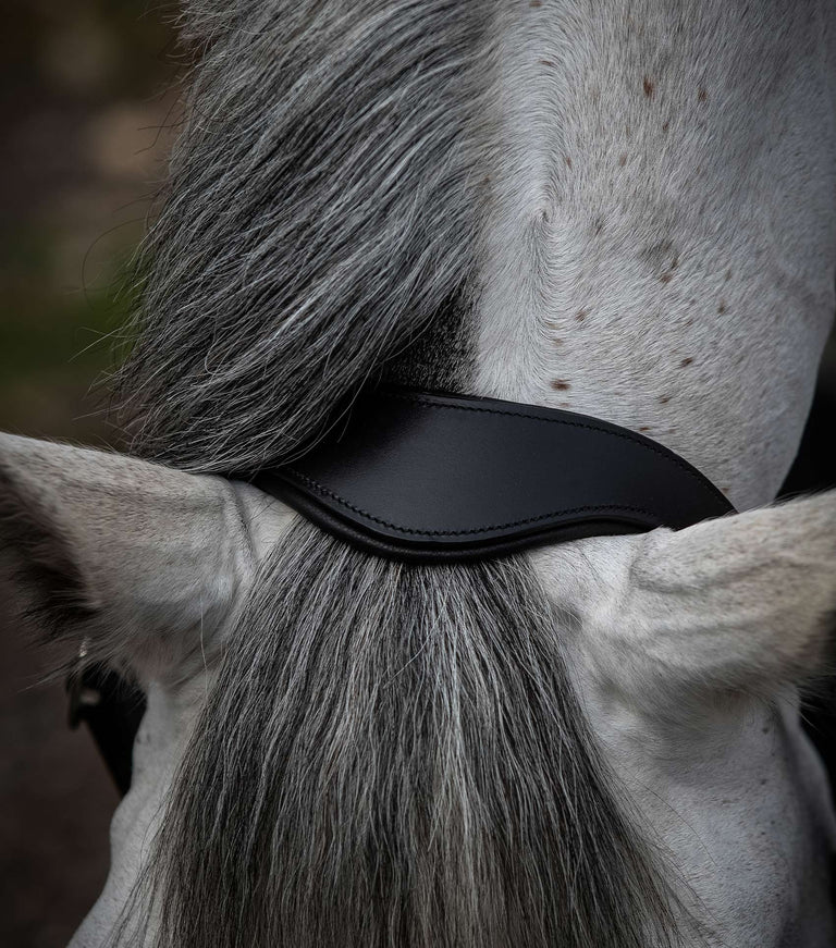 Premier Equine UK Hennaroso Rolled Anatomic Leather Halter Black (cob or full)