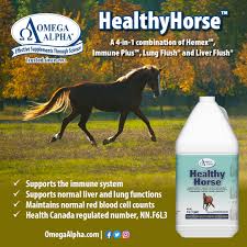 Omega Alpha Healthy Horse 4L
